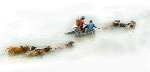 “Mùa lũ” đoạt huy chương Vàng thi ảnh quốc tế VN-09